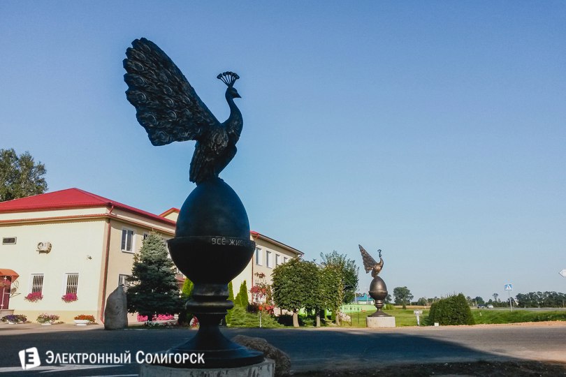 Павлин Солигорская птицефабрика