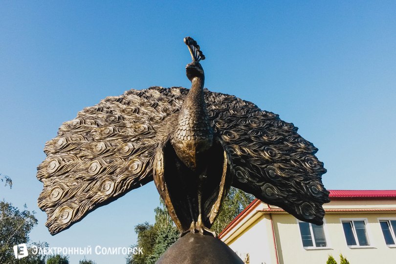 Павлин скульптура Солигорская птицефабрика