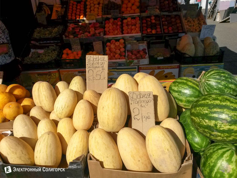 цены на дыни