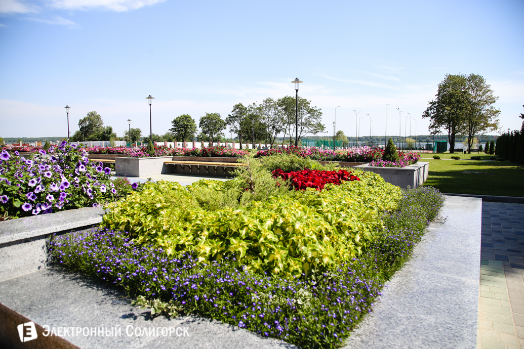 открытие санатория Березка