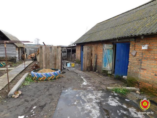 покушение на убийство Любанский район