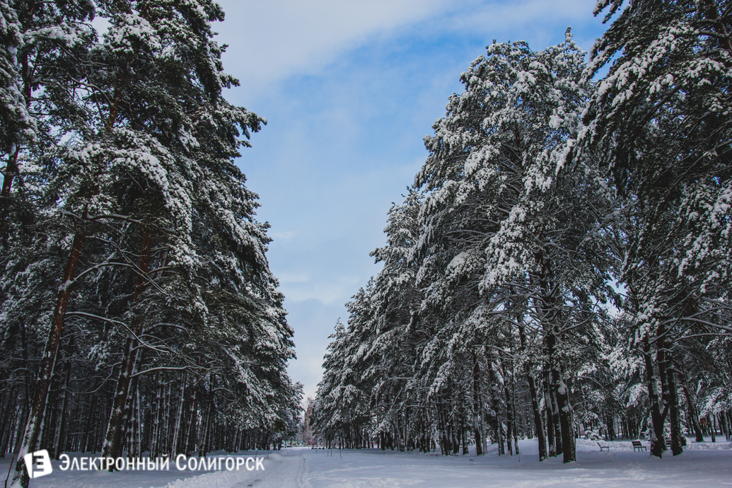 Солигорск снегопад
