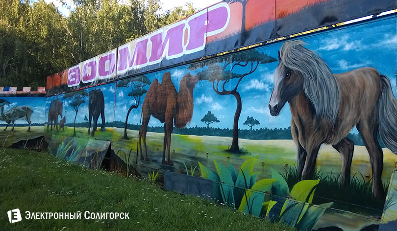 зоомир Солигорск