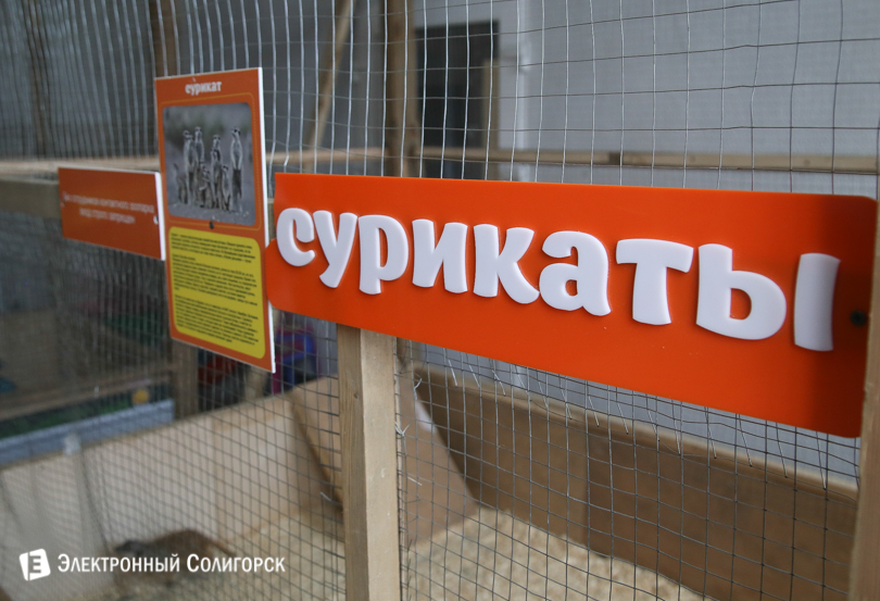 контактный зоопарк Солигорск