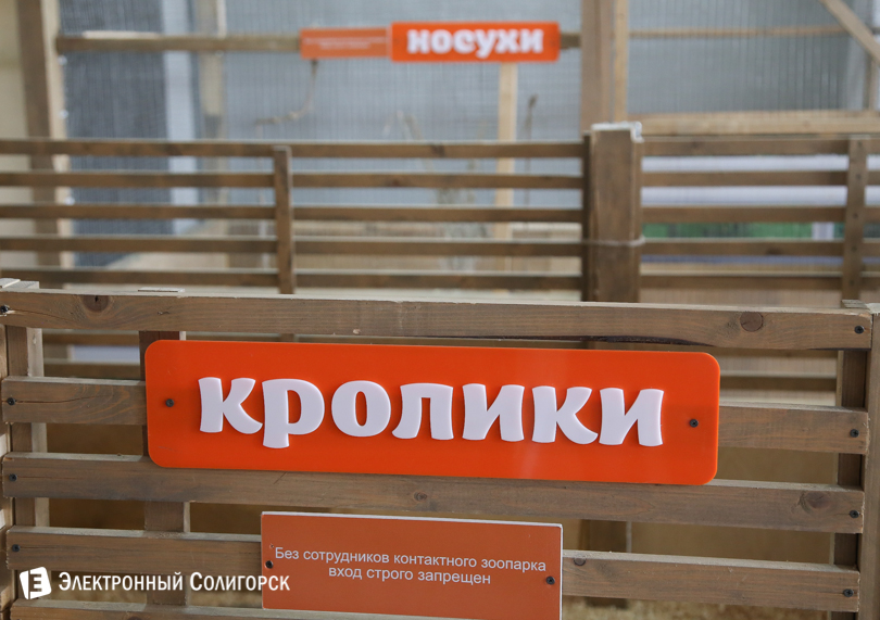 контактный зоопарк Солигорск