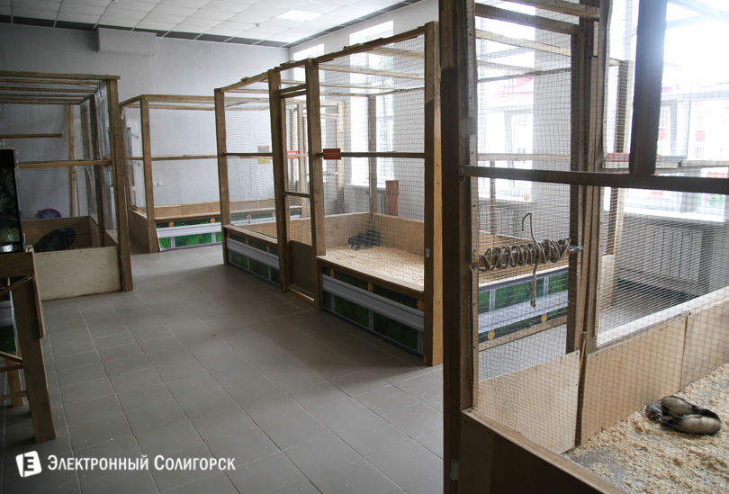 контактный зоопарк ЗооСити Солигорск