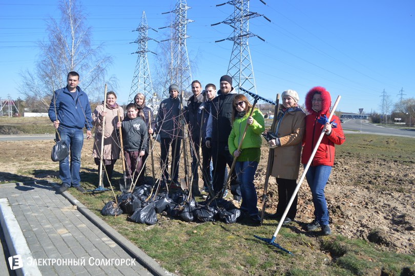 посадка деревьев Солигорск