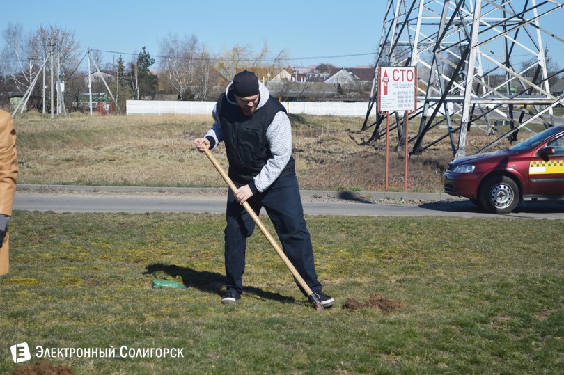 посадка деревьев Солигорск