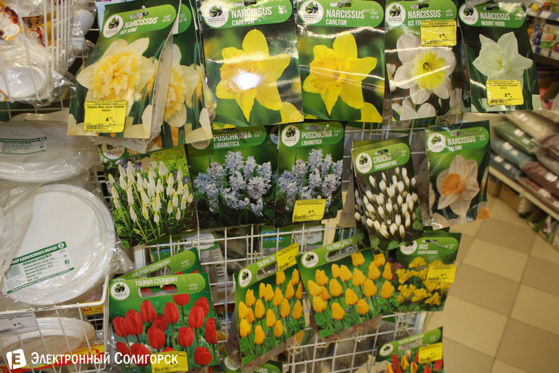 строймаркет Солигорск