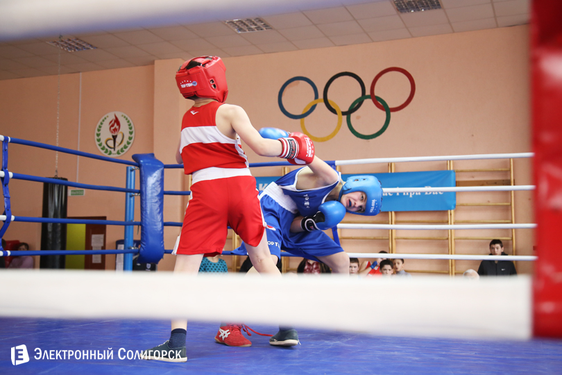 бокс Солигорск