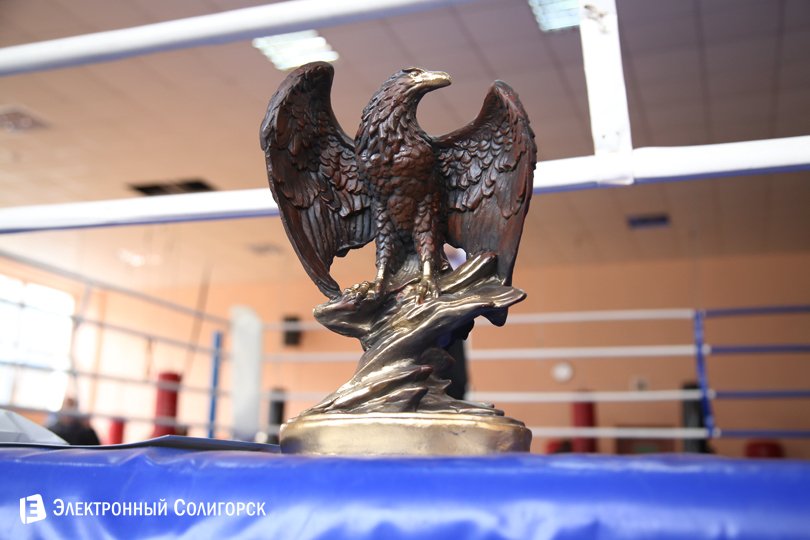 бокс Солигорск