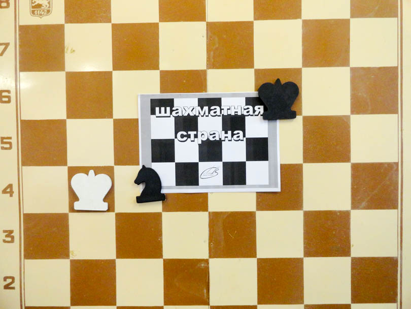 Шахматная страна