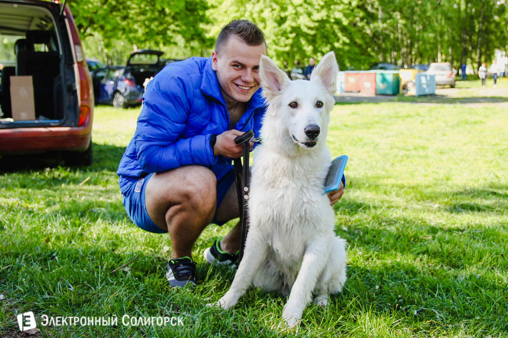 собаки Солигорск