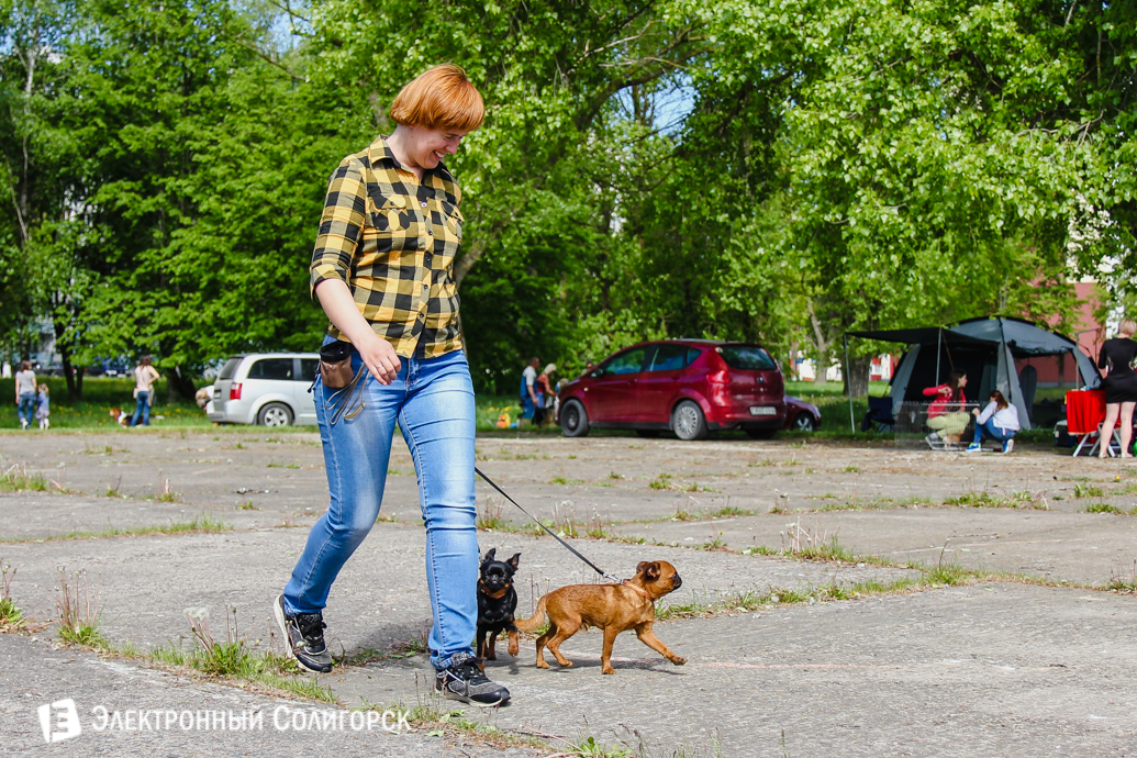 собака Солигорск