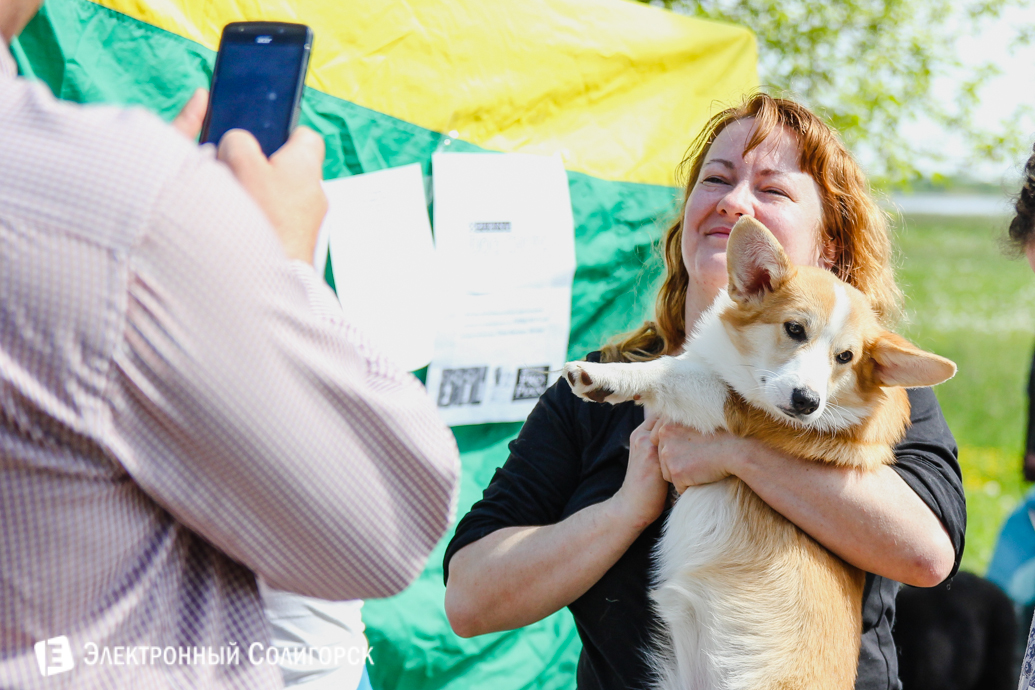 породистые собаки Солигорск