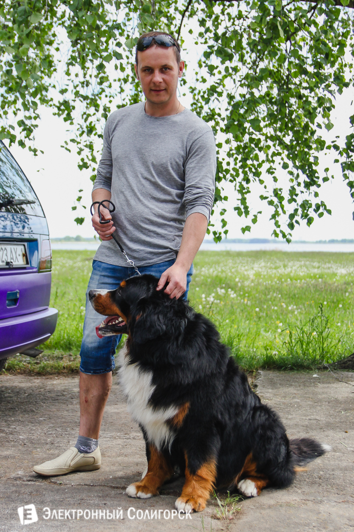 собаки Солигорск