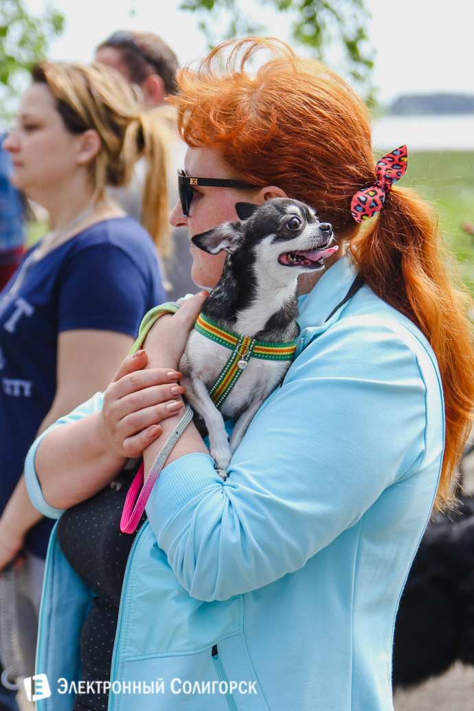выставка собак Солигорск