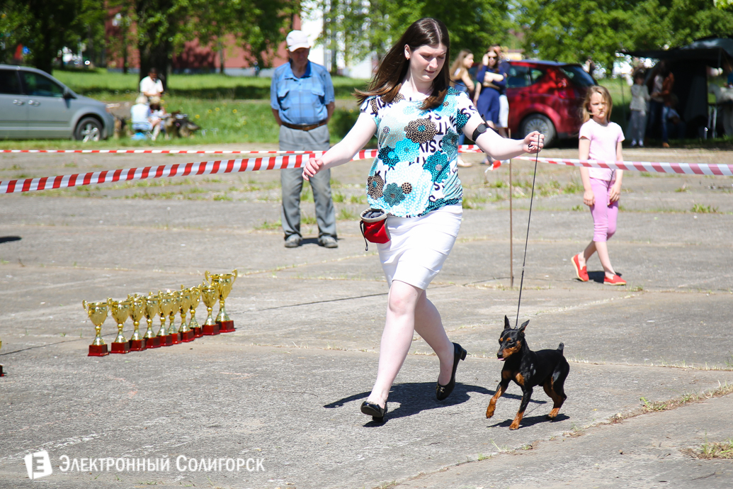 выставка собак Солигорск