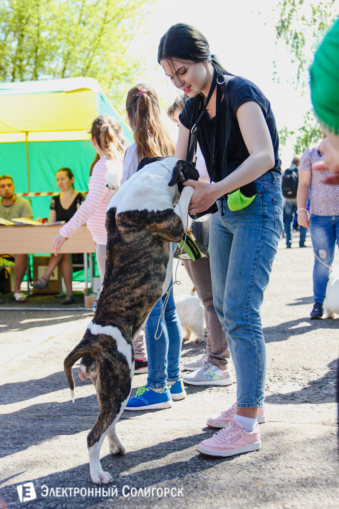 йорк Солигорск