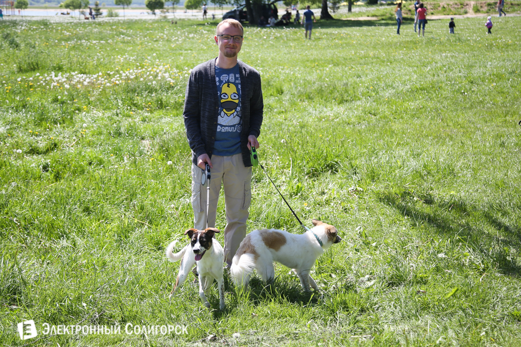 выставка собак Солигорск