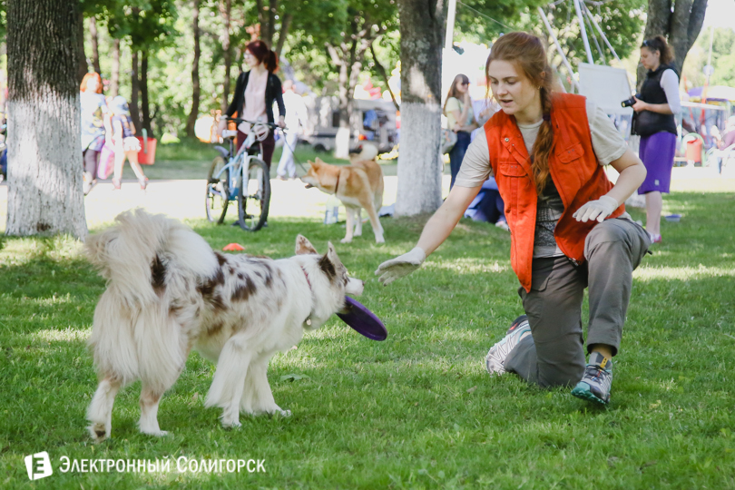 дог-фрисби Солигорск