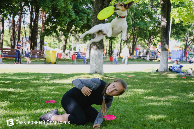 дог-фрисби Солигорск