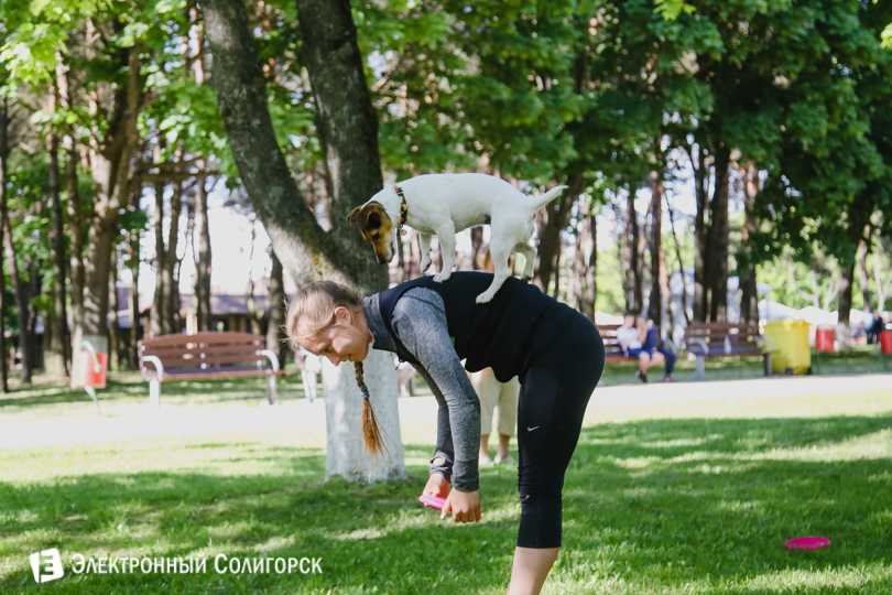 дог-фрисби Солигорск