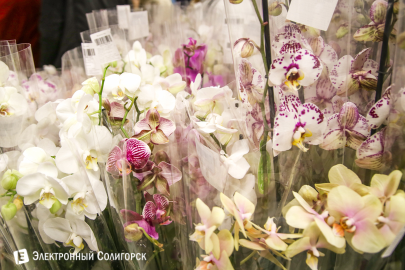 магазин Martinn Солигорск