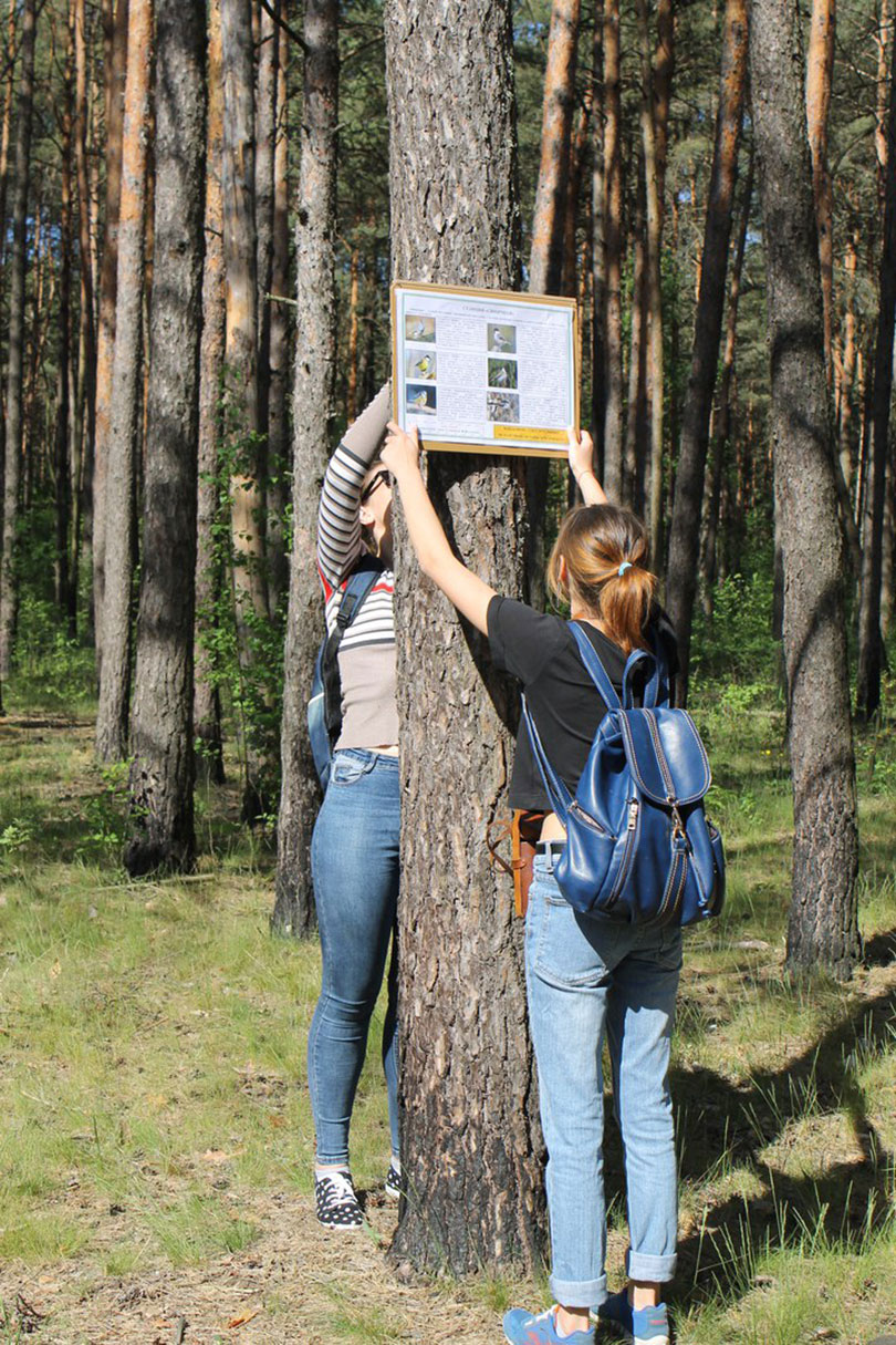 тропа Птицы нашего леса Солигорск