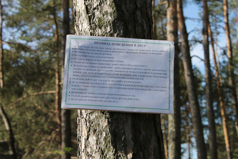 тропа Птицы нашего леса Солигорск