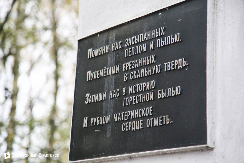 черный тюльпан Солигорск