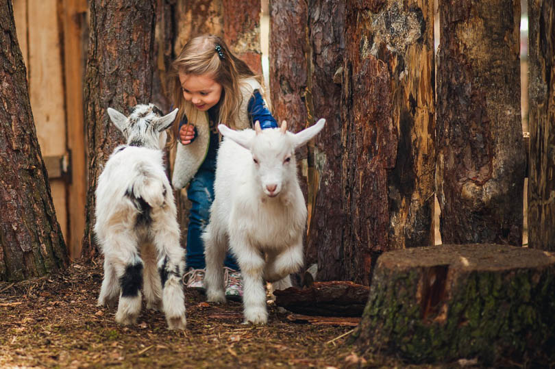 усадьба Малиновка Солигорск Летенец