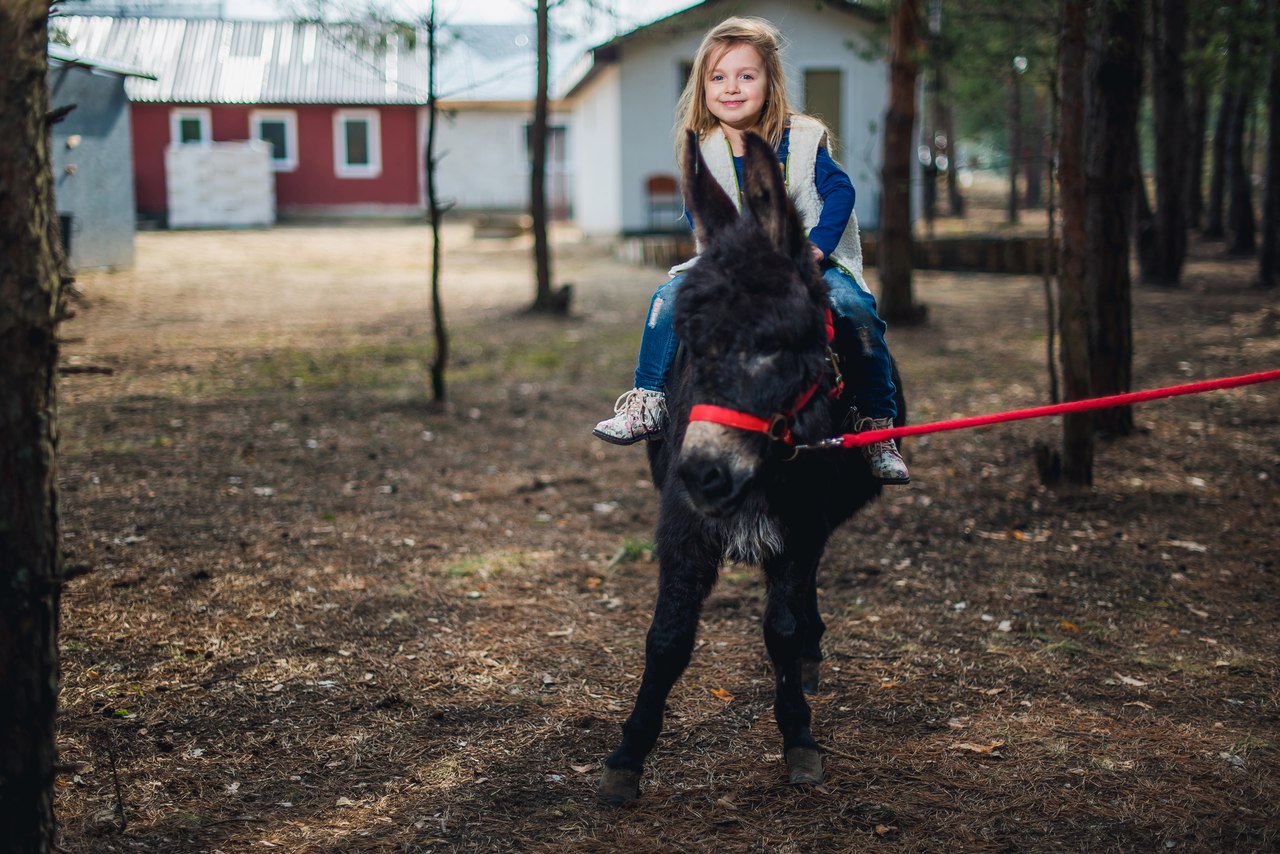 усадьба Малиновка Солигорск Летенец