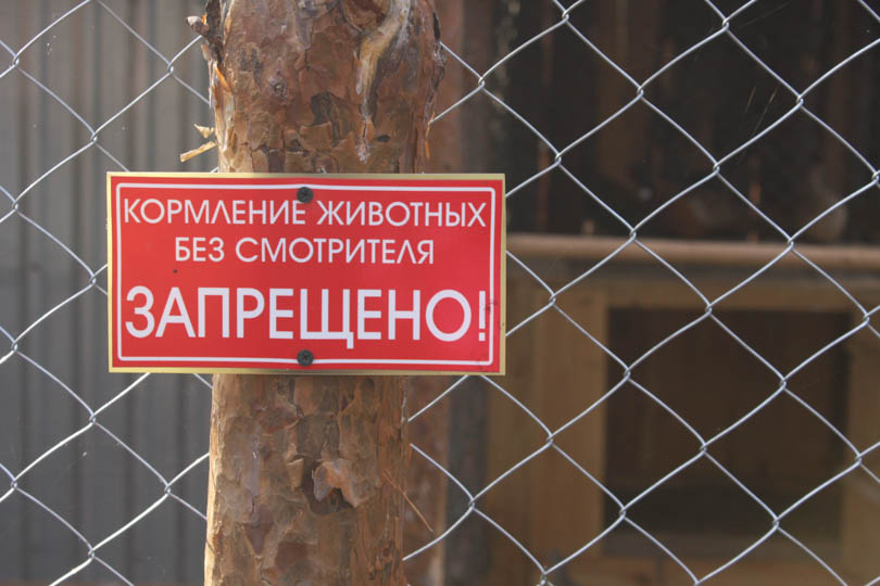 усадьба Малиновка Солигорск Летенец