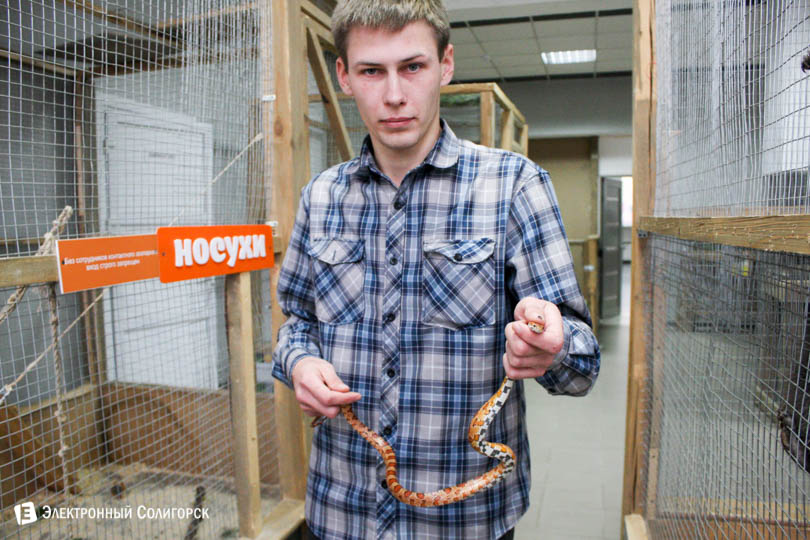soligorsk zmeja v zooparke