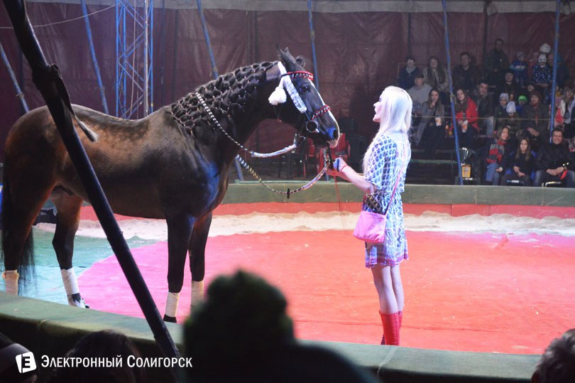 цирк Антре Солигорск
