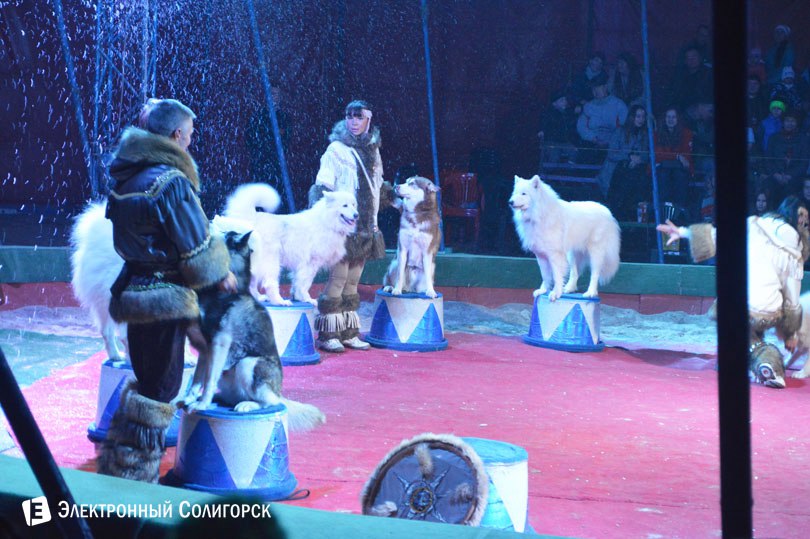 цирк Антре Солигорск волки