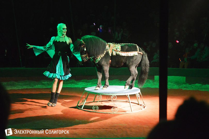 цирк Антре пони