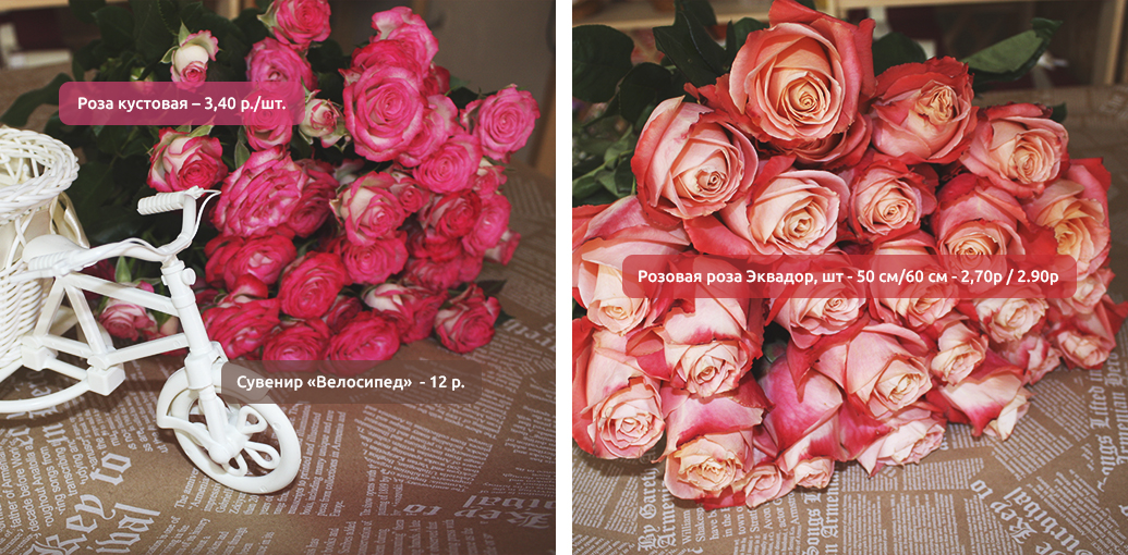 Империя роз 1