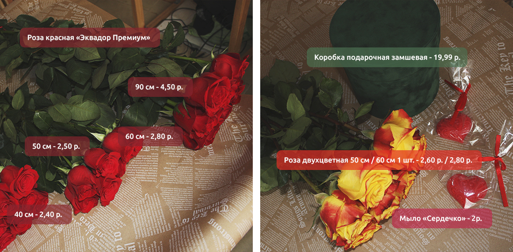 Империя роз 1