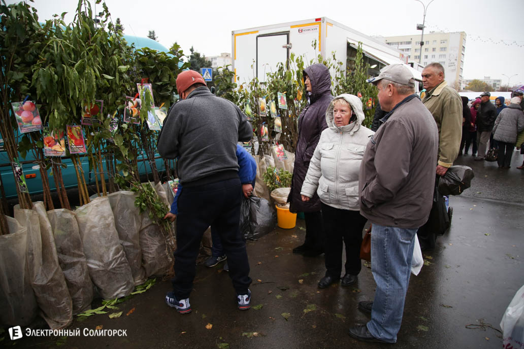 ярмарка региональная Солигорск