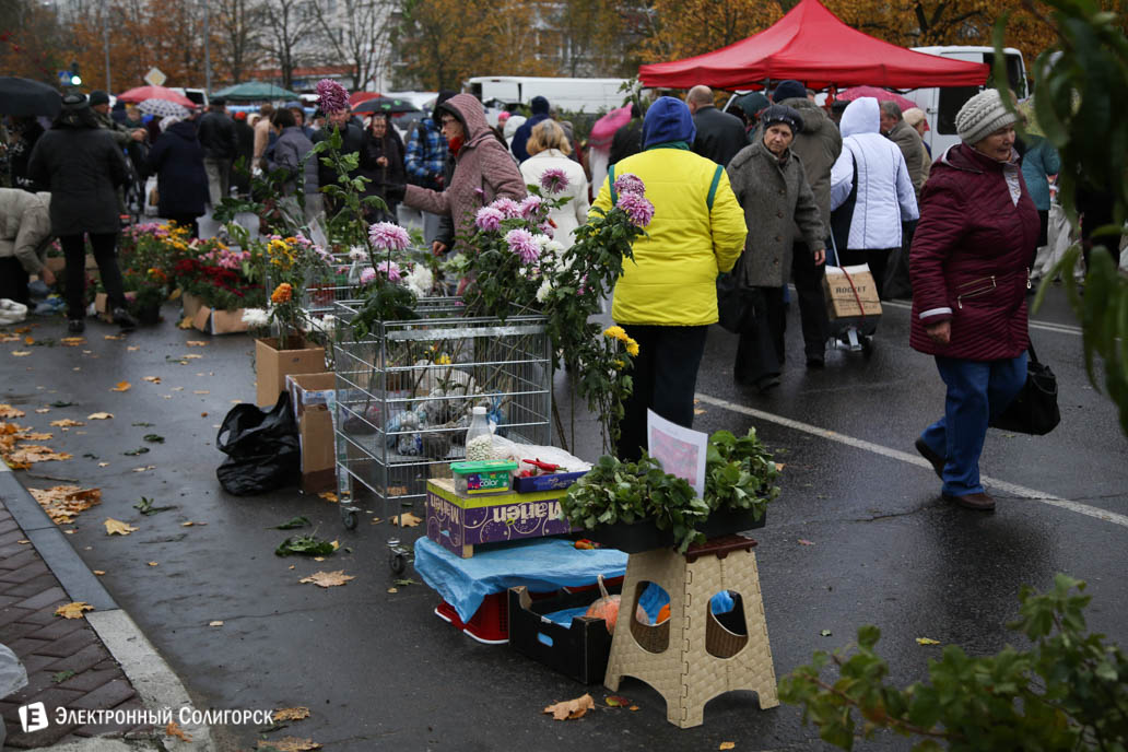 ярмарка региональная Солигорск