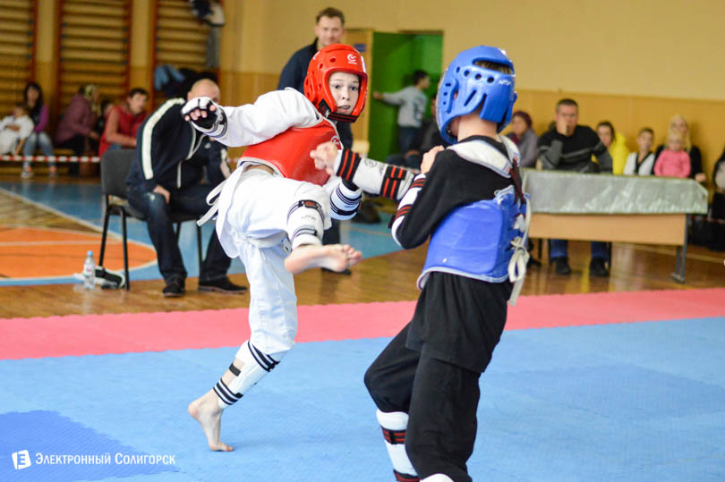 Солигорск таэквондо титан