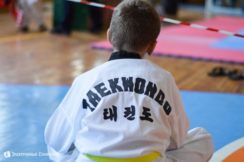 Солигорск таэквондо титан
