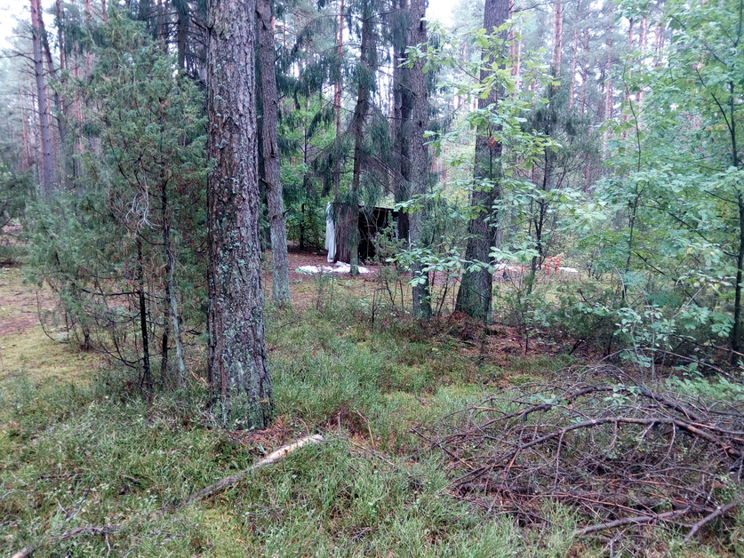 Возбуждено уголовное дело, исчезновение Мархалюка Максима