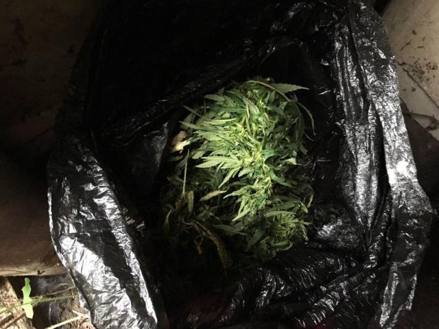 марихуана Слуцк