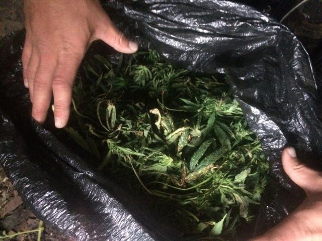 марихуана Слуцк