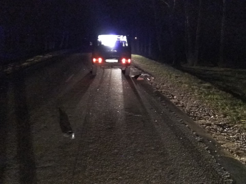 солигорск дтп погиб пешеход