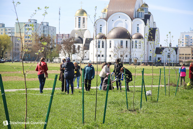 субботник аллея матери