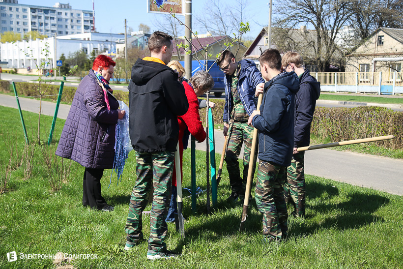 субботник аллея матери